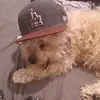 Raul Mota - @raul.mota01 - TikTok
