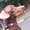 Raul.mota - @raul.mota - TikTok