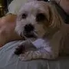 Raul Negrete - @raul.negrete00 - TikTok