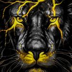 Raul Parker - @parkerock14 - Instagram