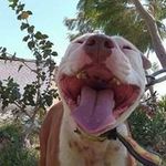 Raul Ramirez Parker - @raulramirezparker - Instagram
