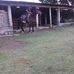 Raul Pedroza - Facebook