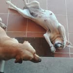 Raul Piñeiro Sueiro - @pineirosueiro - Instagram
