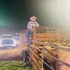 raulpizana59 - @raulpizana59 - TikTok