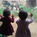 Raul Puerto - @raul.puerto.9250 - Instagram