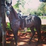 Raul Valencia Puerto - @valenciapuerto - Instagram