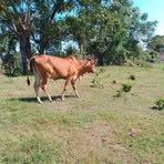 Raul Quevedo - Facebook