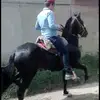 raulquevedo95.4 - @raulquevedo95.4 - TikTok
