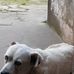 Raul Riera - Facebook