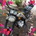 Raúl Rizzo - Facebook
