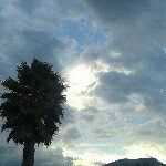 Raul Crizz Rodas Rivera - @raul.rodas - Instagram