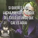 Raul Rogel - @rogelraul503rodriguez - Instagram