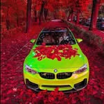 Raul Roland - @raul.roland.94617 - Instagram