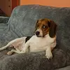 Raul Roldan - @raul.roldan79 - TikTok
