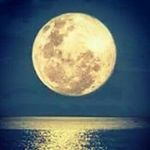 Raul Rolon - @rolonraul42 - Instagram