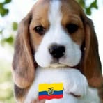 Raul Rosero - Facebook