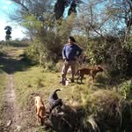 Raul Ross - @raul.ross.142 - Instagram