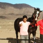 Raul Rubina - @rubinaraul - Instagram