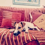 Raul_the_Russell - @raul_the_russell - Instagram
