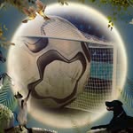 Raul Saavedra - @raulsaavedra01 - Instagram