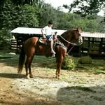 Raul saavedra - @saavedra_raul03 - Instagram
