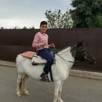 raulsalado - @raulsaladom01 - Instagram