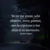 Raul Sanabria - @raul.sanabria11 - TikTok
