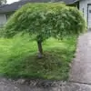 Raul Sanchez - @raul.sanchez07 - TikTok