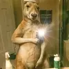 Raul Santamaria - @raul.santamaria - TikTok