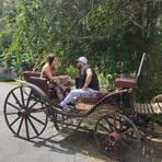 Raúl Santiesteban - Facebook