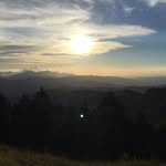 Raul stewart savage - @raulstewartsavage - Instagram