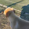 Raul wayer - @raul.wayer - TikTok