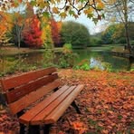Raul Schultz - Facebook