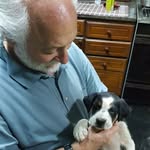 Raul Schwartz - @raul.schwartz.90 - Instagram