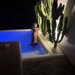Raul Sena - @_rlsena - Instagram
