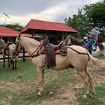 Raul David Serpa - @caballada_rs - Instagram