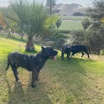 Raul Serpa - @r.serpa.c - Instagram