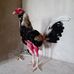 Raul Serpa - Facebook