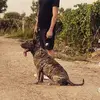 Raul Serpa - @koopsta.rahl333 - TikTok