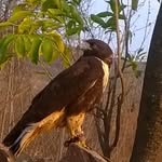 @raulserratos45105 - Instagram