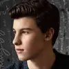 ShawnRaulPeterMendes - @shawnraulpetermendes - TikTok