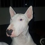 ur_mum_short______Raul - @ur_mum_short______raul - Instagram