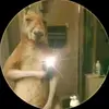Raulsierra - @raulsierra935 - TikTok