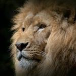 Raul Simon - @simonraul010 - Instagram