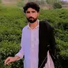Raveed Ali - @raveed.ali - TikTok