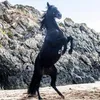 Raven is the best 🐴🐴 - @free_rein_is_the_best_f8 - TikTok