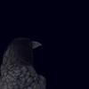 Britt - @raven_britt - TikTok