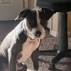 Raven Carey - @raven.carey - TikTok