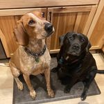 Raven & Cooper - @ravenandcooper - Instagram