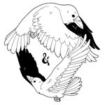 Raven & Crow - @ravenandcrowco - Instagram